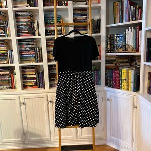 Berydress Short Sleeve Colorblock Button Down Polkador Dress—NWOT